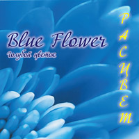 Blue Flower.  . 